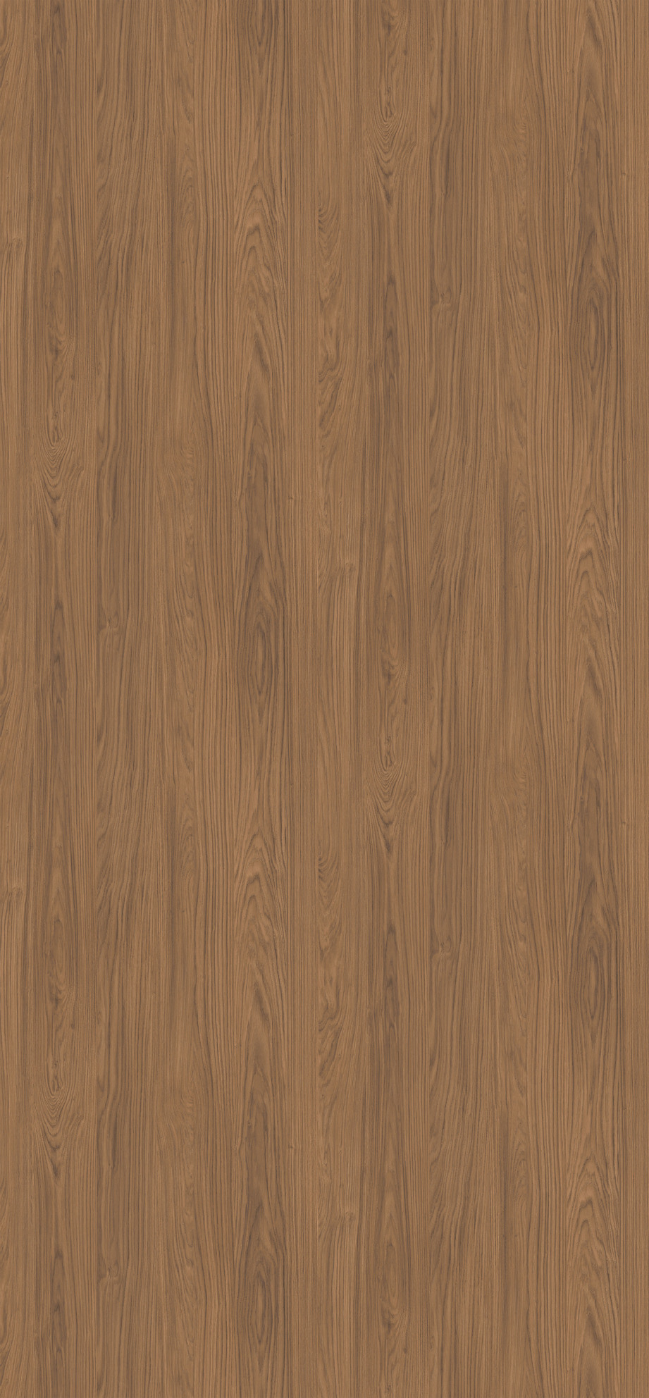 H1386_1300x2800_10DE_fur